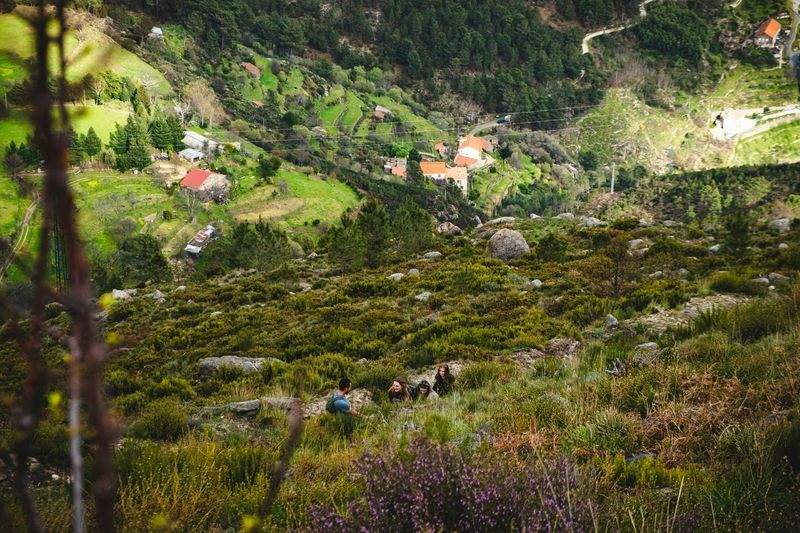 Buenas prácticas para mejorar el bienestar de las aves en granja